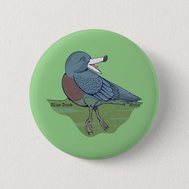 Whio Blue Duck NZ BIRD Button (Front)