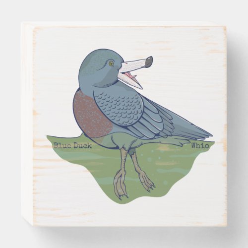 Whio Blue Duck NZ BIRD Wooden Box Sign