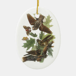 Whip-poor-will by Audubon Ceramic Ornament