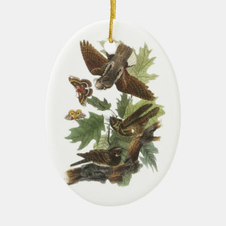 Whip-poor-will by Audubon Ceramic Ornament