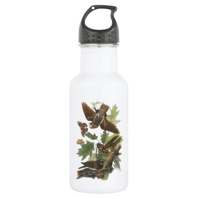 Whip-poor-will by Audubon Water Bottle (Front)