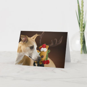 Whippet at Christmas Holiday Card