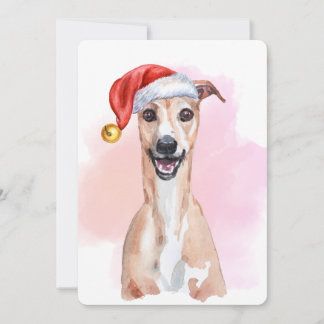 Whippet Christmas Card – Whippet Wearing Santa Hat