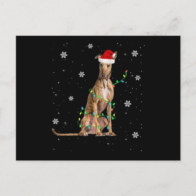Whippet Christmas Light Cute Santa Whippet Xmas Announcement Postcard (Front)