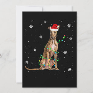 Whippet Christmas Light Cute Santa Whippet Xmas Holiday Card