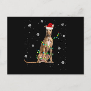 Whippet Christmas Light Cute Santa Whippet Xmas Holiday Postcard