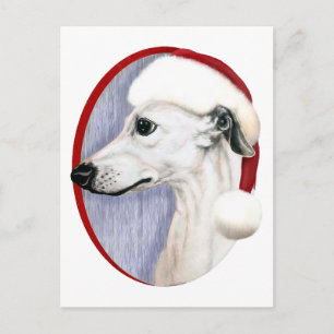Whippet Christmas White Santa Holiday Postcard