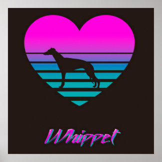 whippet Cute Dog | Home Decoration Ideas