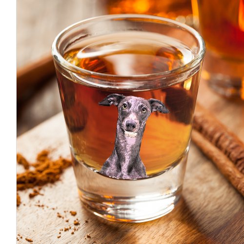 Whippet Dog Business Name Animal Cute Shot Glass