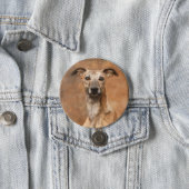Whippet Dog Portrait Artwork Button (In Situ)