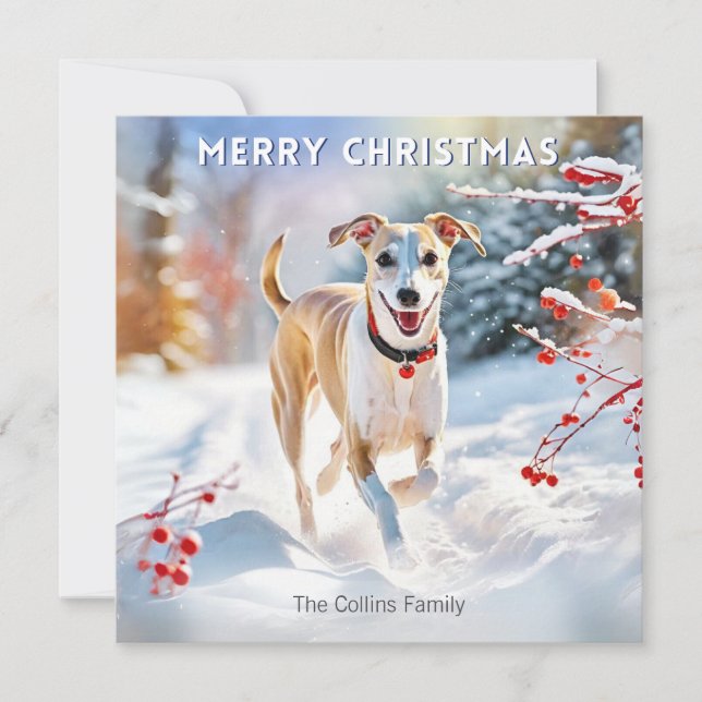 Whippet Dog Walking In Snow Winter Merry Christmas Holiday Card (Front)
