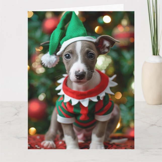 Whippet Elf Puppy Christmas Card  (Front)