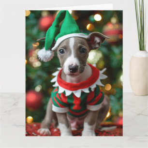 Whippet Elf Puppy Christmas Card