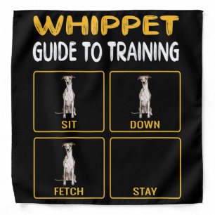 Whippet Guide To Training Dog Obedience Bandana