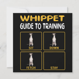 Whippet Guide To Training Dog Obedience Invitation