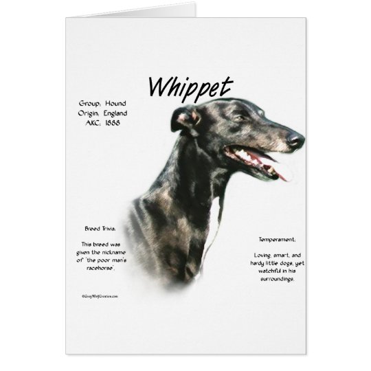 Whippet History Design Card