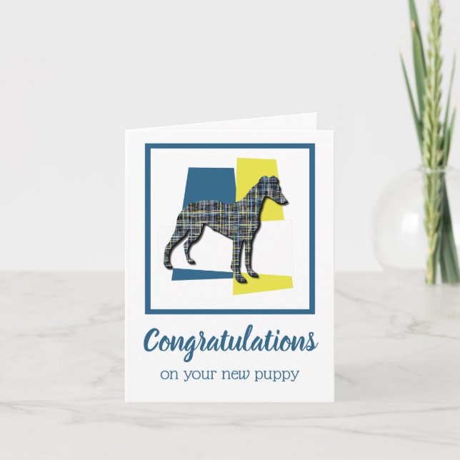 Whippet / Italian Greyhound Puppy Congratulations Card (Front)