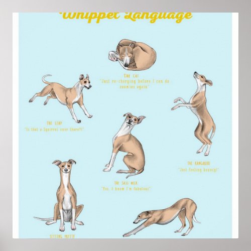 Whippet Language Print  Whippet Canvas