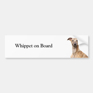 Whippet Dog Walker 'Evolution' car sticker vinyl decal 