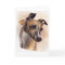 Whippet Painted in Watercolour