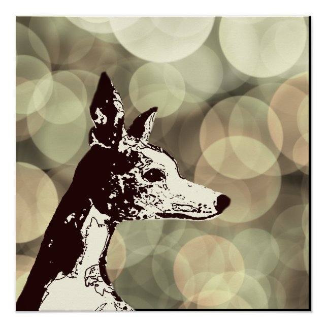 Whippet Poster (Front)