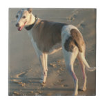 Whippet Tile