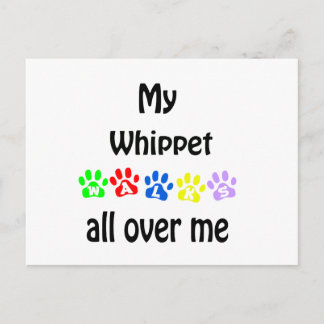 Whippet Walks Design Postcard