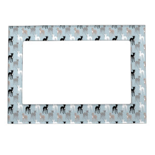 Whippets or Italian Greyhounds Cute Magnetic Frame
