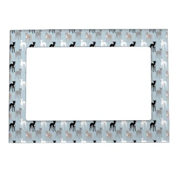 Whippets Or Italian Greyhounds Cute Magnetic Frame by DoodleDeDoo at Zazzle