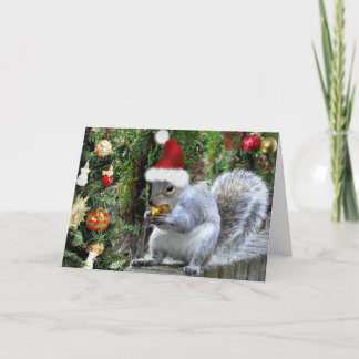 Whiskas the Squirrel Christmas Card