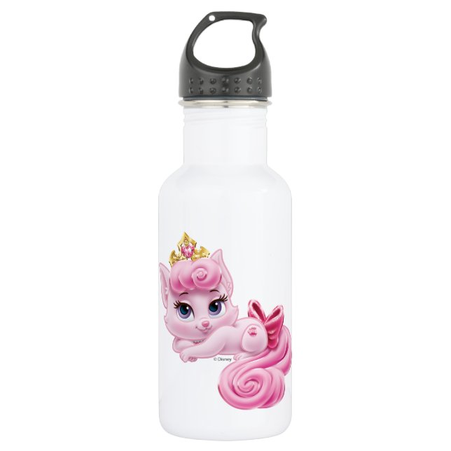 Whisker Haven | Dreamy Stainless Steel Water Bottle (Front)