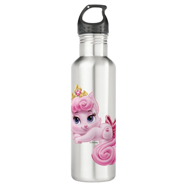 Whisker Haven | Dreamy Stainless Steel Water Bottle (Front)