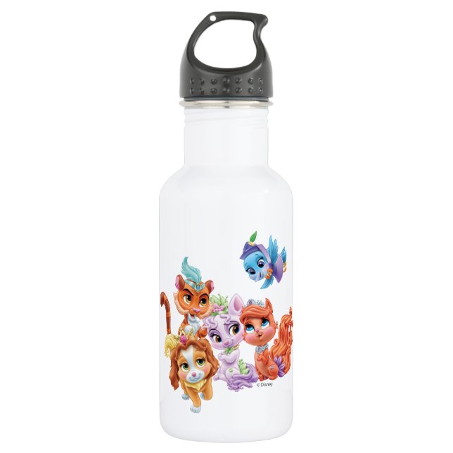 Whisker Haven | Hearts Hooves Paws Stainless Steel Water Bottle (Front)