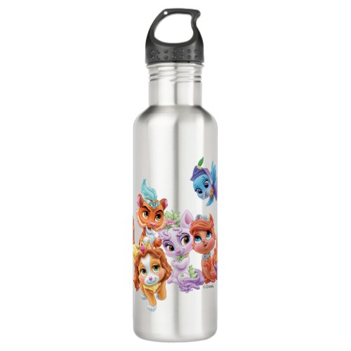 Whisker Haven  Hearts Hooves Paws Stainless Steel Water Bottle