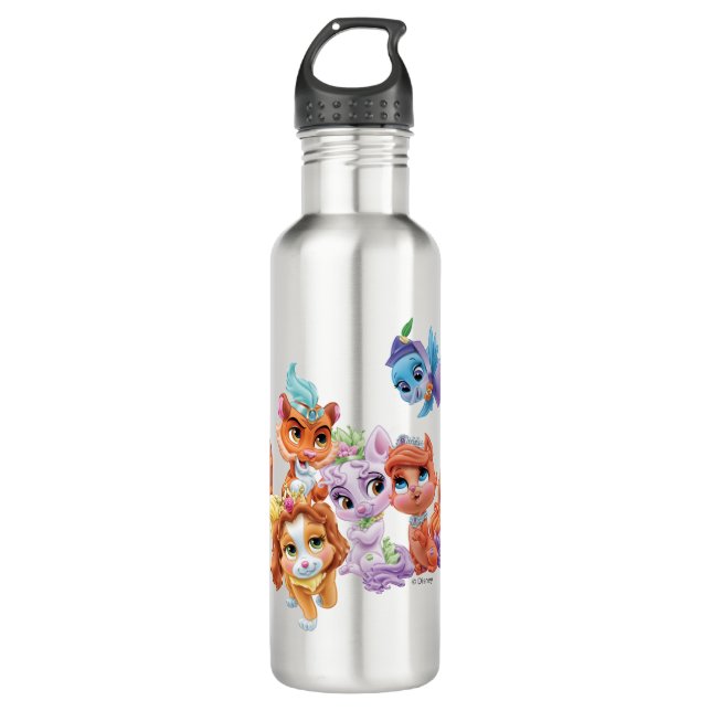 Whisker Haven | Hearts Hooves Paws Stainless Steel Water Bottle (Front)