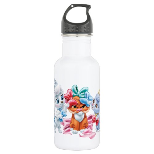 Whisker Haven  Points for Style Stainless Steel Water Bottle
