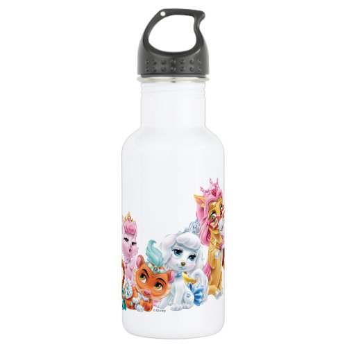 Whisker Haven  Primped  Pampered Stainless Steel Water Bottle
