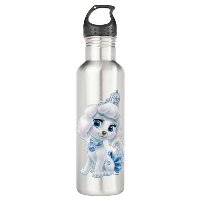 Whisker Haven | Pumpkin Stainless Steel Water Bottle (Front)