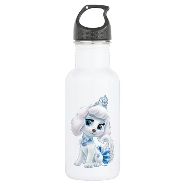 Whisker Haven | Pumpkin Water Bottle (Front)