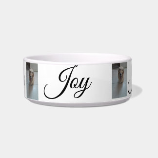 "Whisker Haven: Stylish and Practical Pet Bowls fo