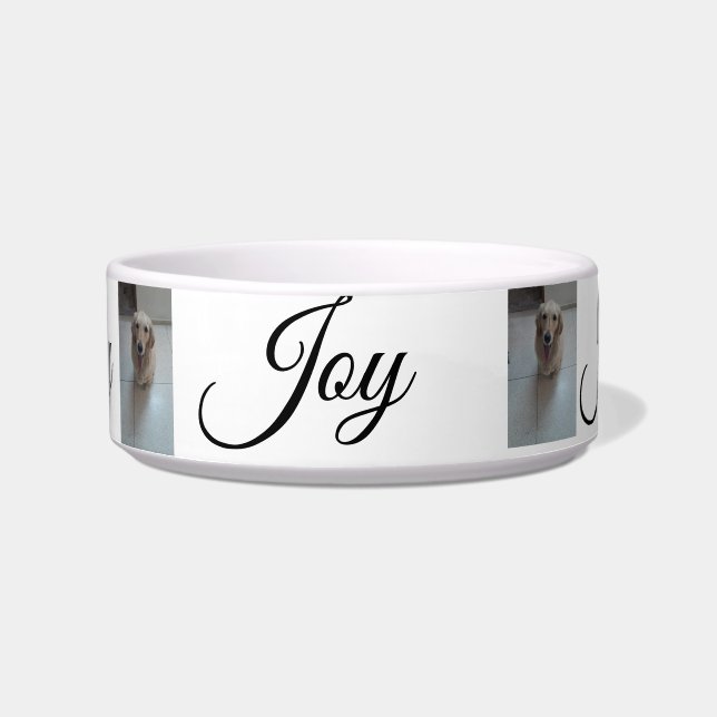 "Whisker Haven: Stylish and Practical Pet Bowls fo (Front)