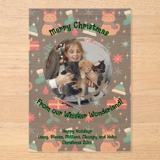 Whisker Wonderland Acrylic Photo Invitations (Front)
