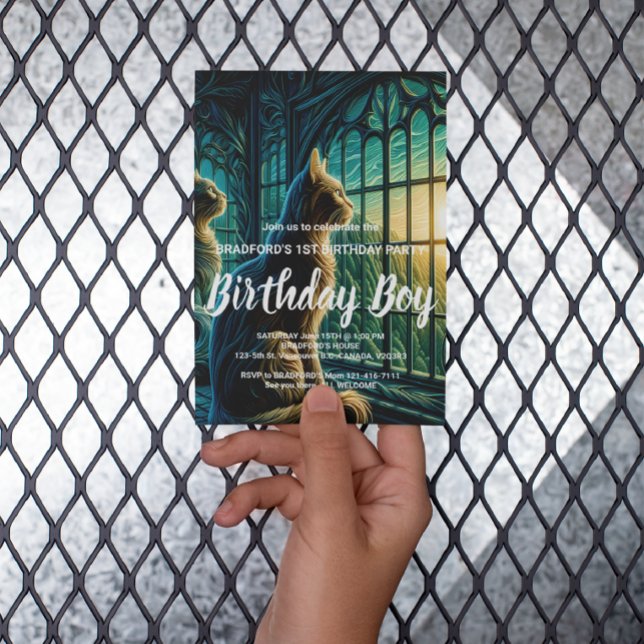 Whiskered Watchers by the Window Postcard (Creator Uploaded)