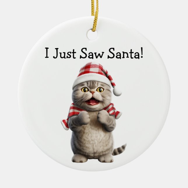 Whiskers and Winter Cheer Cat Ornament (Front)