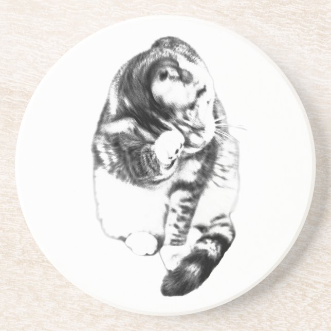Whiskers at Rest Between Sips Coaster (Front)