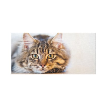 Whiskers Canvas Print