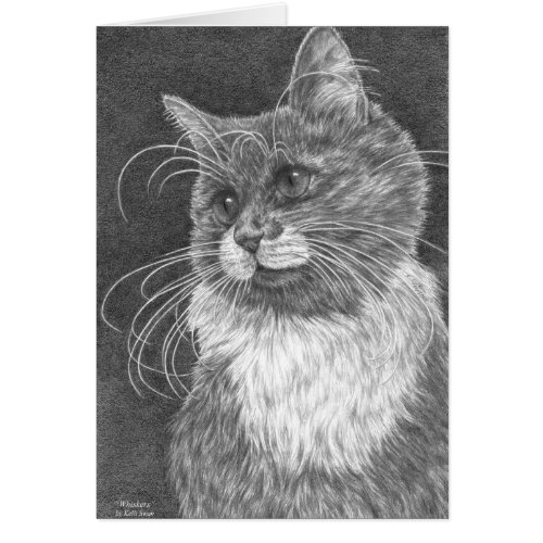 Whiskers Cat Drawing by Kelli Swan