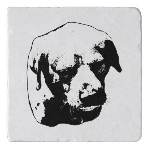 Whiskers in Light Trivet