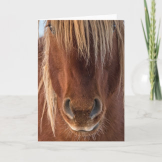 "Whiskers" Note Card