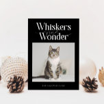 Whiskers &amp; Wonder Cat Photo Black Christmas Holiday Card